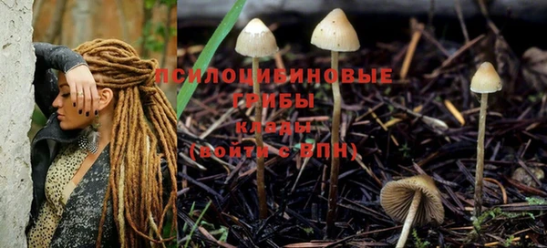 круглые Армянск