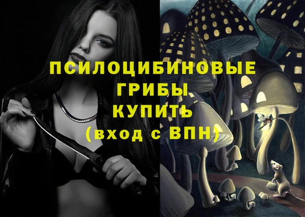 круглые Армянск
