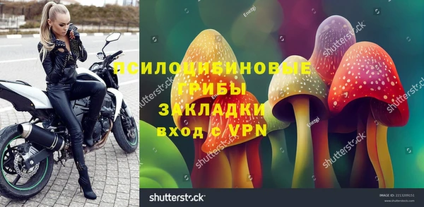спайс Арсеньев