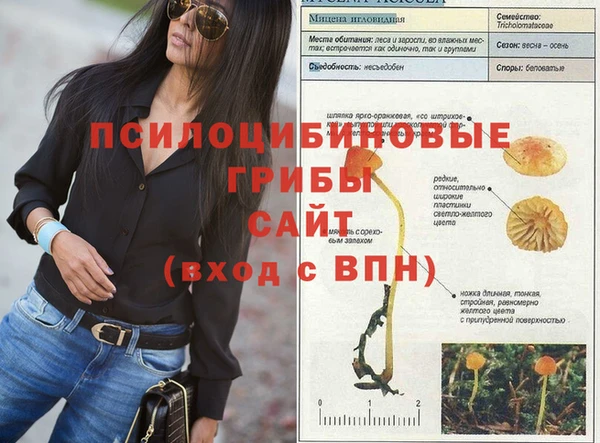 mdpv Аркадак