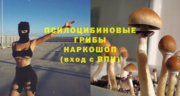 крисы Нязепетровск
